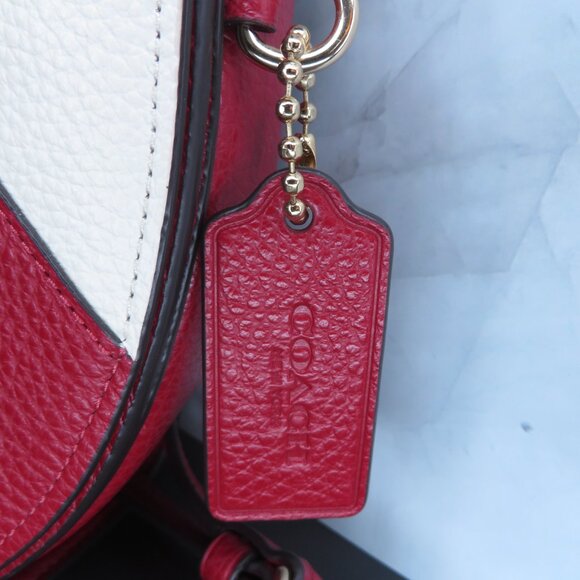Coach Light Piercing Ellen Red Chalk Candy Cane Mini Crossbody Bag - Picture 3 of 8